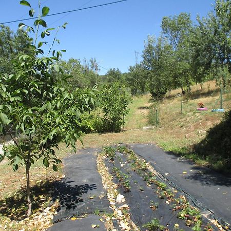Bungalow A Choupana - Quinta da Carvoíça - Vale Pradinhos Vale de Pradinhos Exterior foto