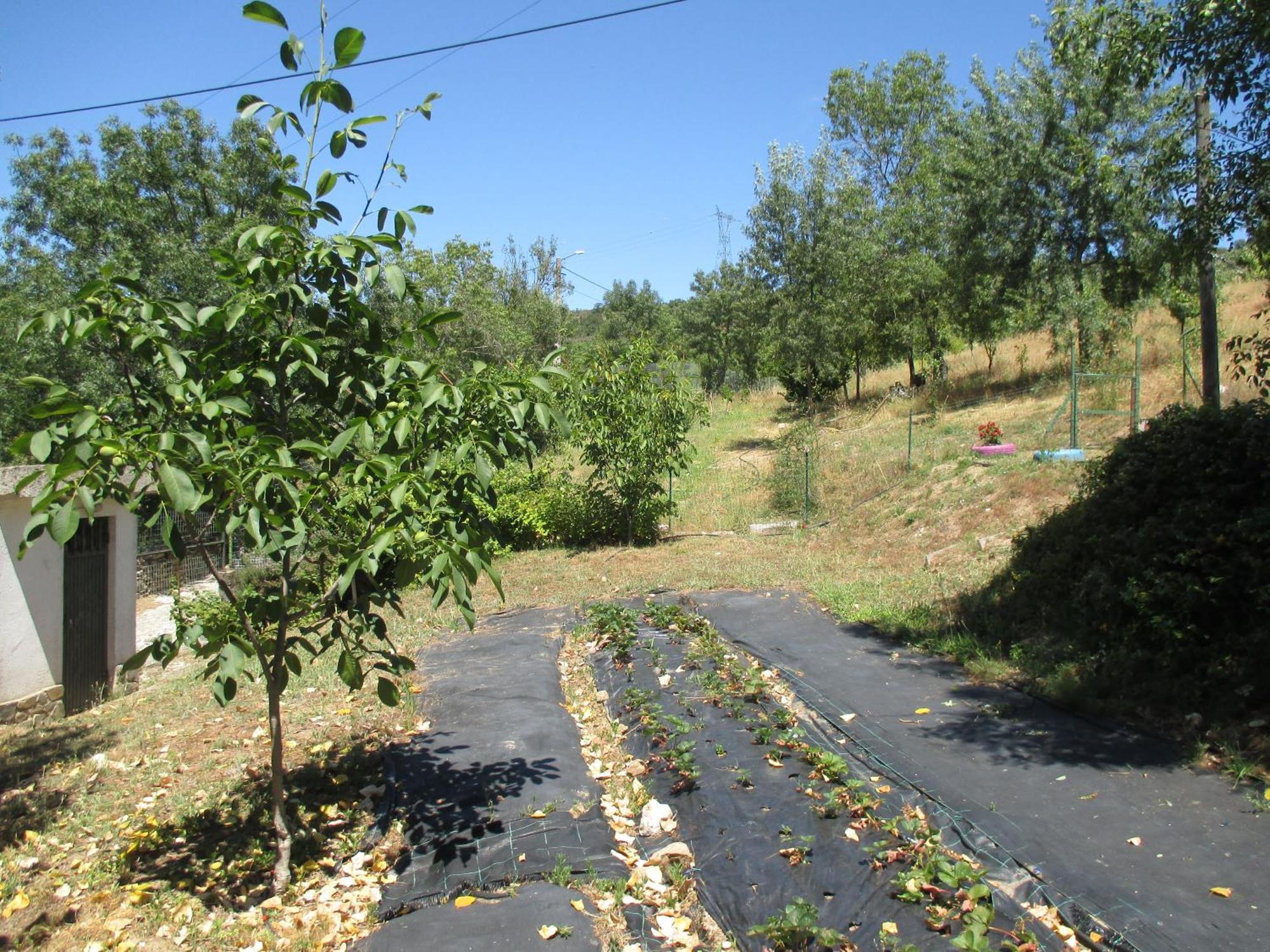 Bungalow A Choupana - Quinta da Carvoíça - Vale Pradinhos Vale de Pradinhos Exterior foto